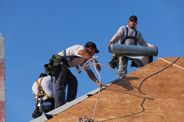 Best Roof Leak Repair  in New Sharon, IA