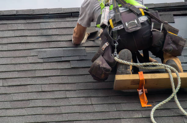 Best Roof Gutter Cleaning  in New Sharon, IA